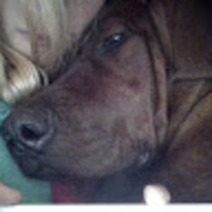 Meet your Posher, Becky